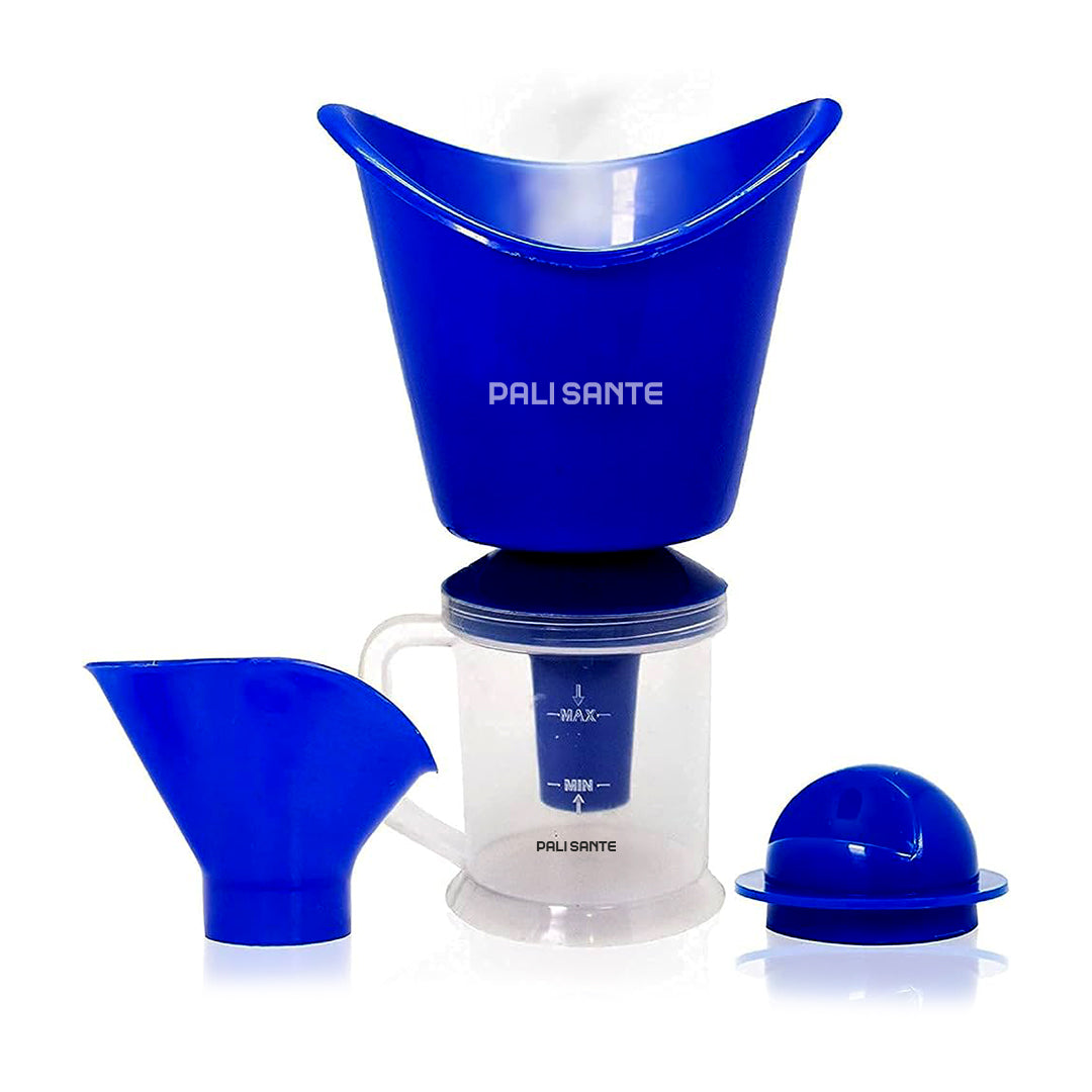 Steam Vaporizer